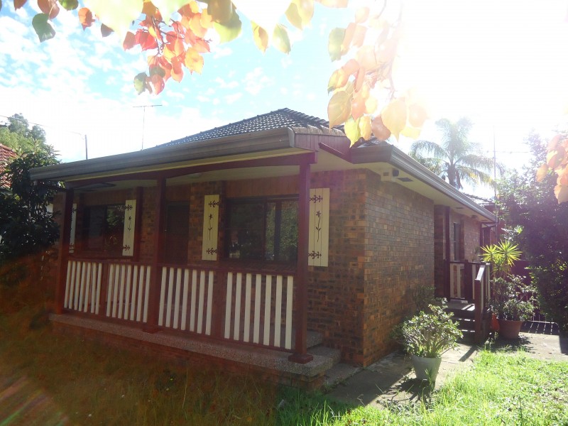 Timber Floors Throughout